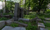 Jüdischer Friedhof Währing  |  Jewish Cementery Waehring